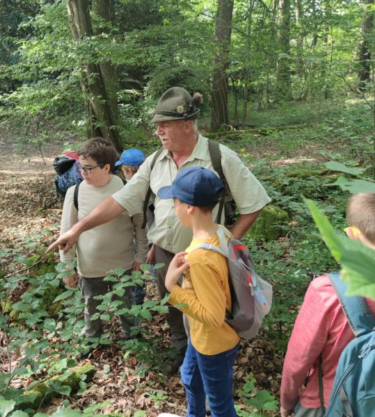Viele Bäumchen auf engem Raum
