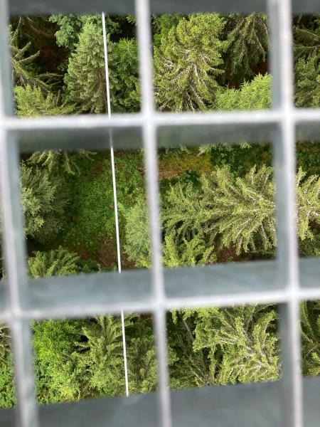 Blick in den Abgrund auf der Wildline